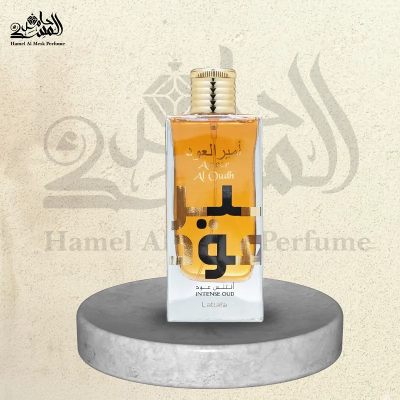 Ameer Al Oudh - أمير العود 1